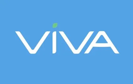 VIVA Finance Loans